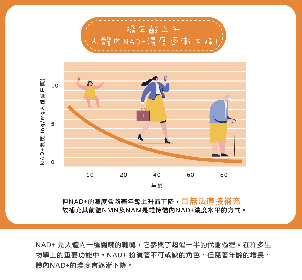 【酷氏】酵母NMN青春補給膠囊