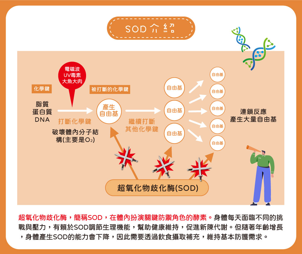 【酷氏】酵母NMN青春補給膠囊 SOD介紹